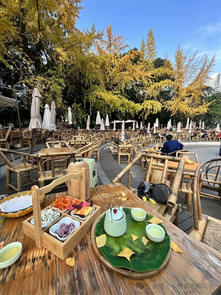 Zide Teahouse beside the Jinjiang River in Chengdu’s Living Water Garden