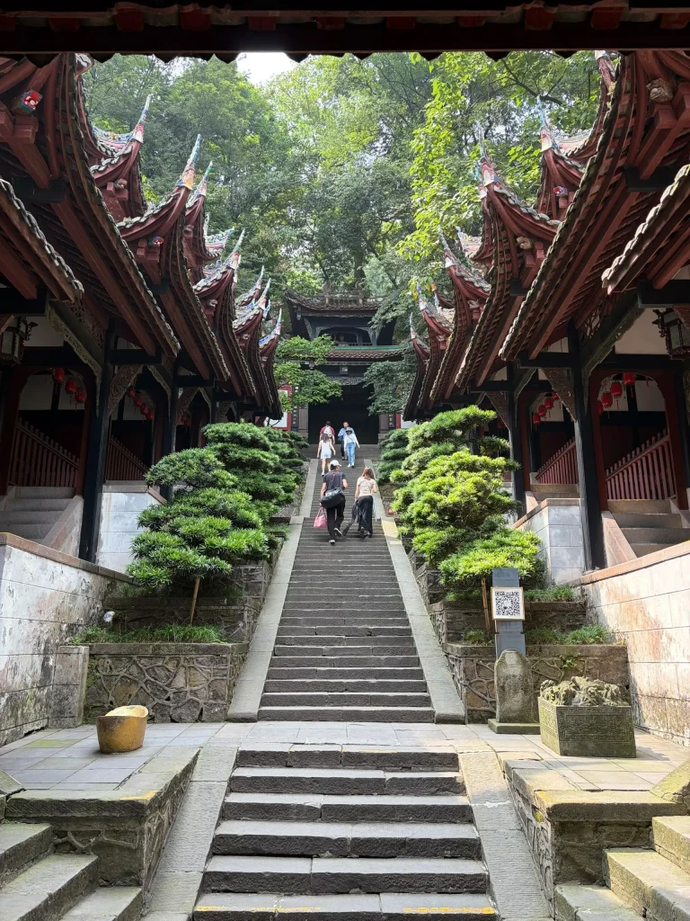 Qingchengshan 6 768x1024 1