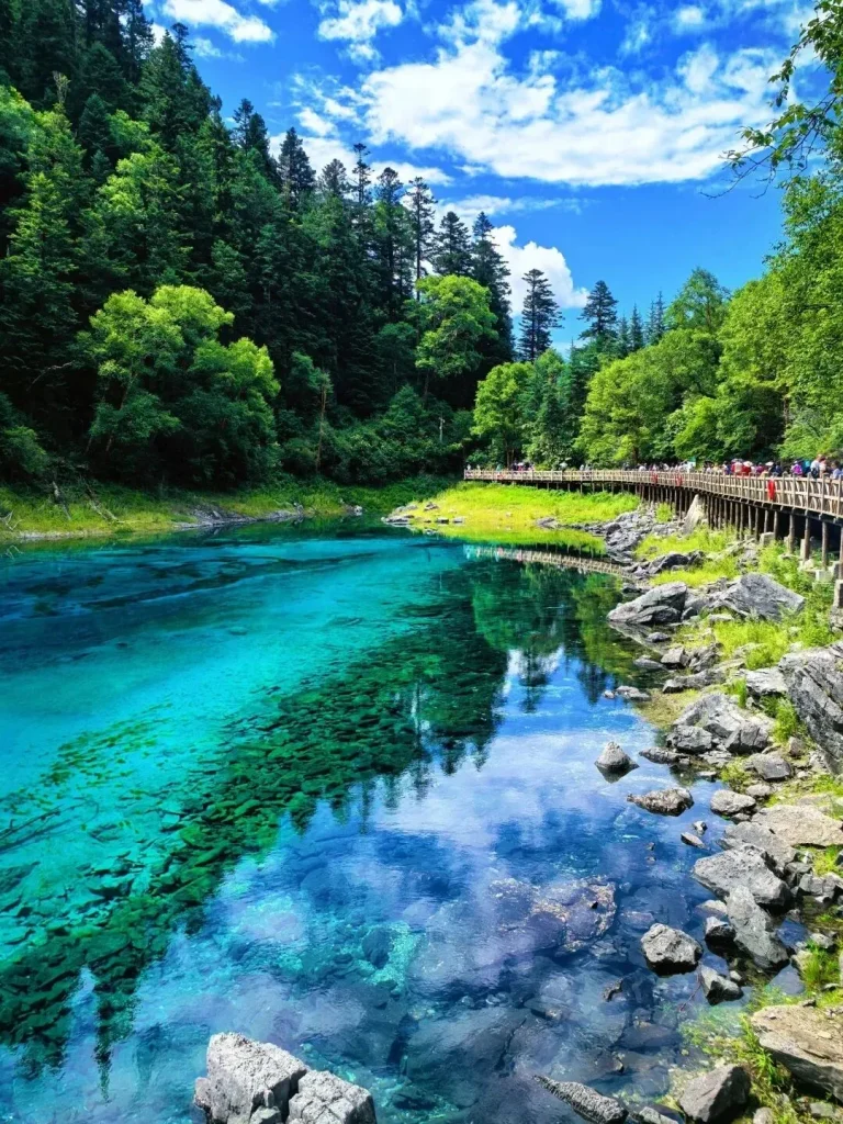 Jiuzhaigou Travel Guide 2 768x1024 1