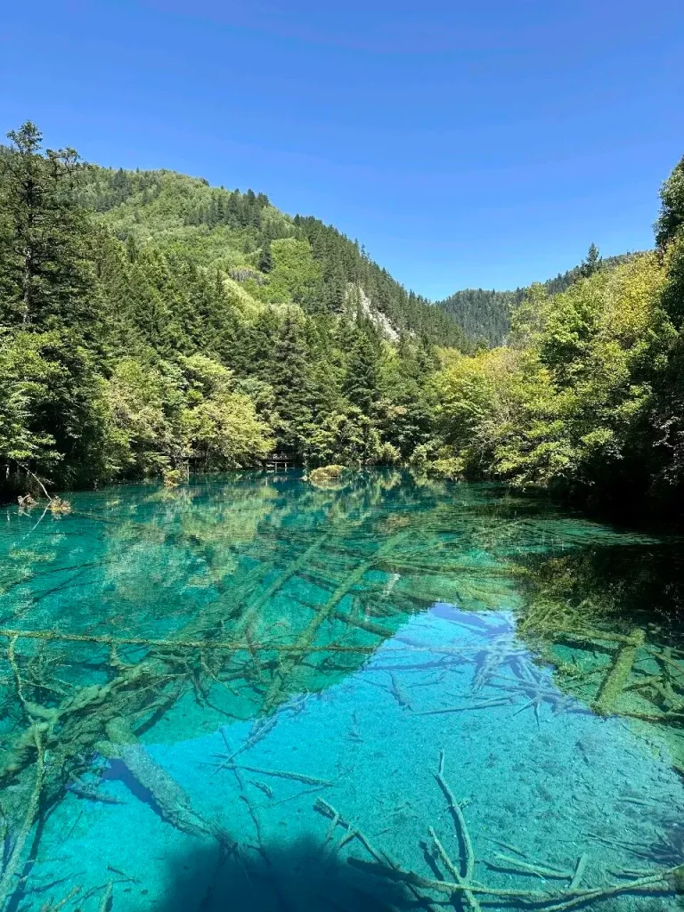 Jiuzhaigou Travel Guide 4 768x1024 1