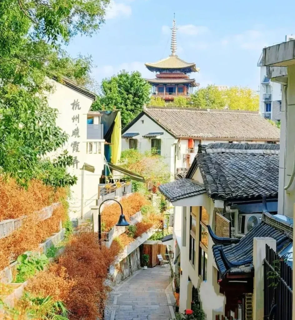 hangzhou city walk